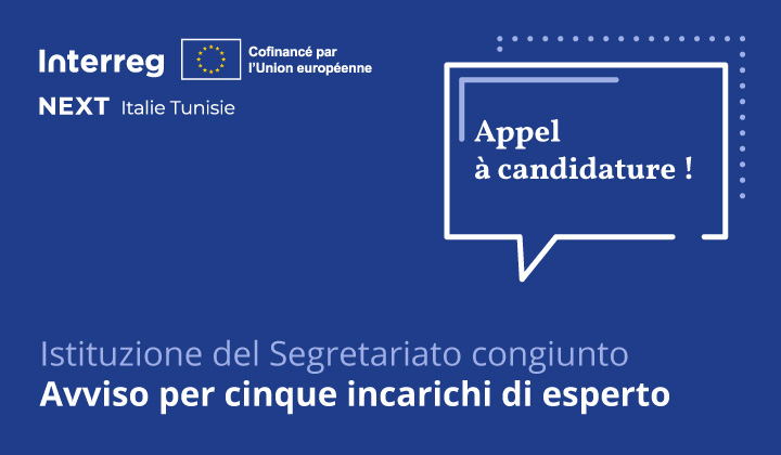 Segretariato Ita-Tun avviso 5 esperti - 720